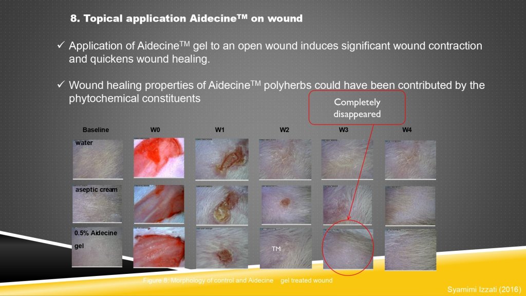 aidecine case study