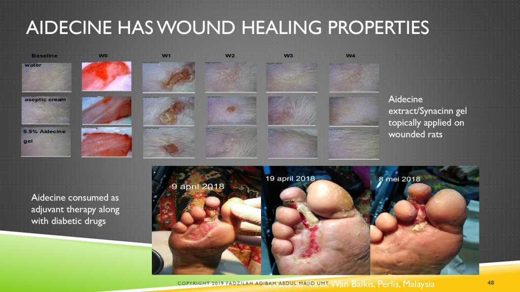 aidecine case study